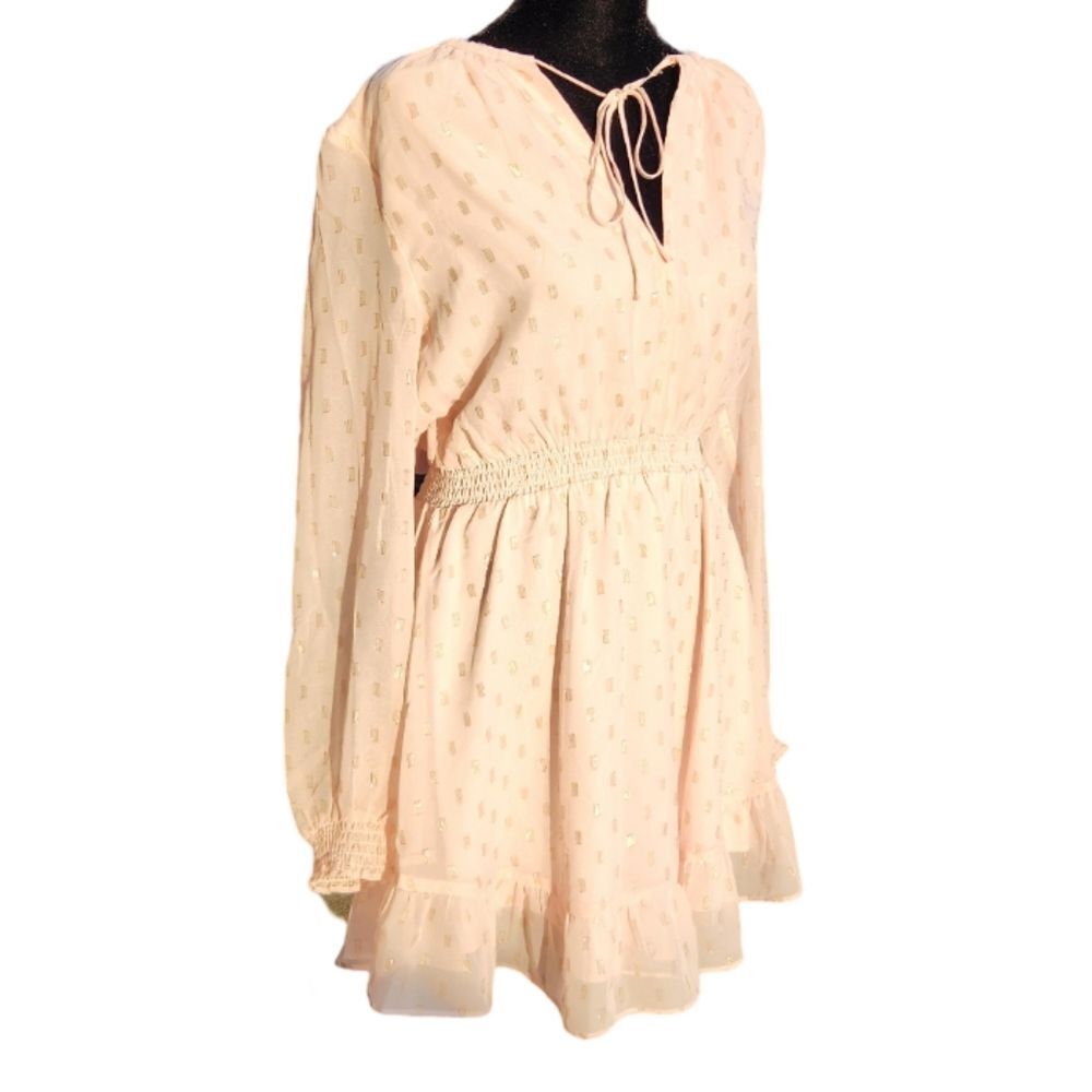WAYF BFF Collection Pink Swiss Dot Long Sleeve Ruffle Dress NWT Size Small
